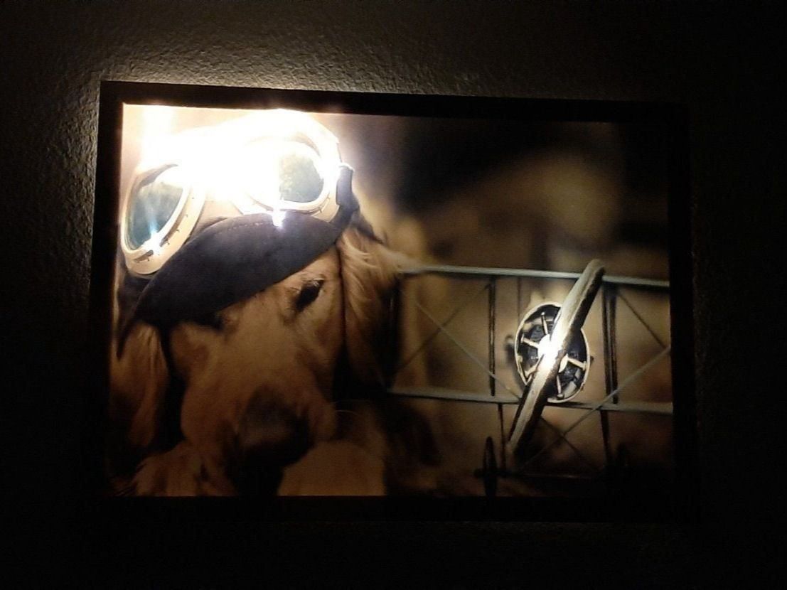 Foto & Immagini: Pilot Hund mit Propellerflugzeug LEDBild – Nuovo e nell'imballaggio originale da Kilchberg ZH venduto da ruedi34 3