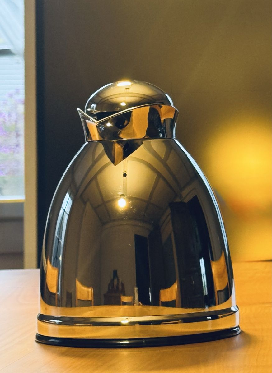 Caraffe: Isolierkanne, 1 Liter, neuwertig – Nuovo (secondo la descrizione) da Cham venduto da matap1 5