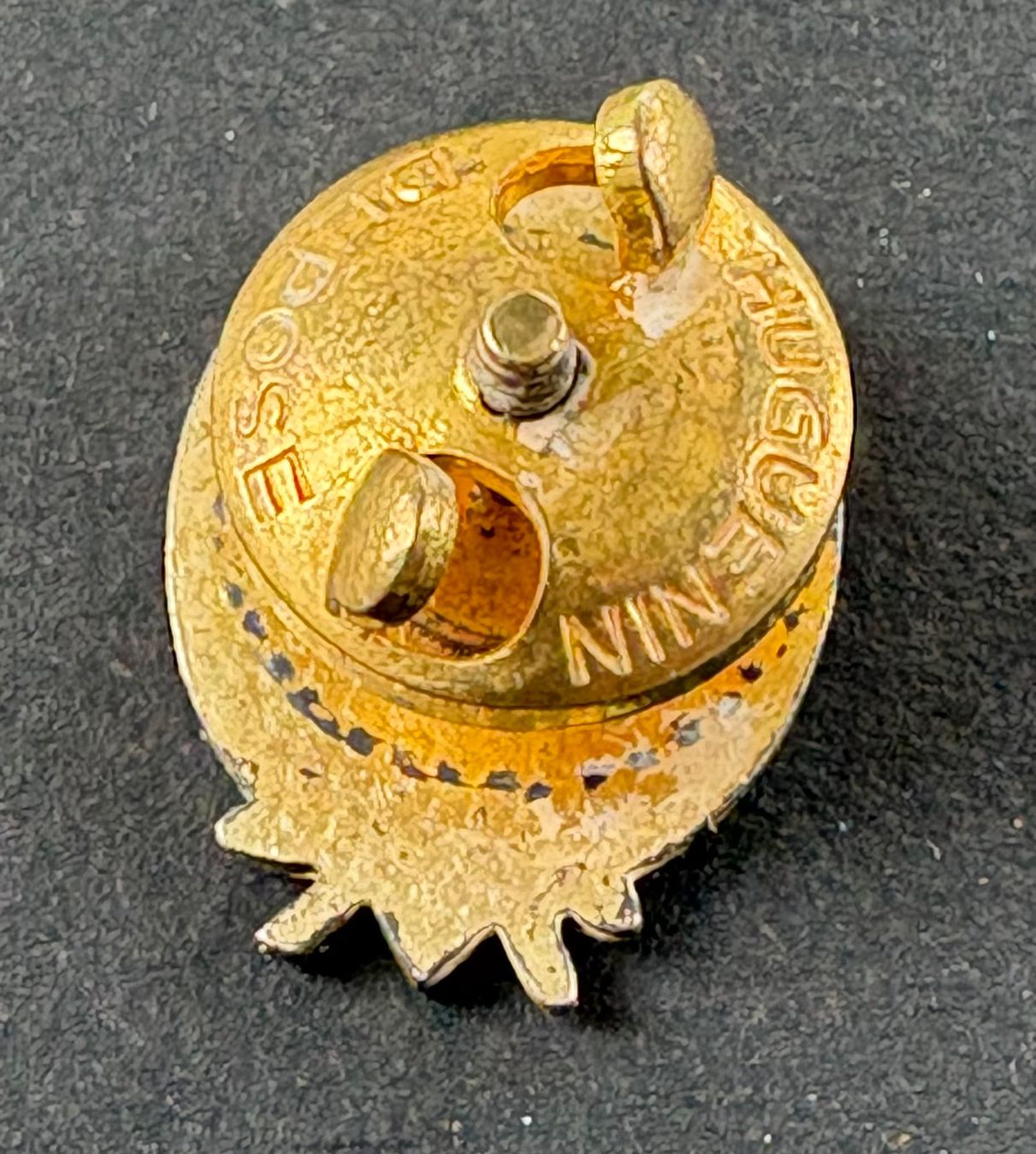 Placchette & Badge: ANSTECKER SCHWEIZER ALPEN CLUB – Usato da Ostermundigen venduto da wini63 1