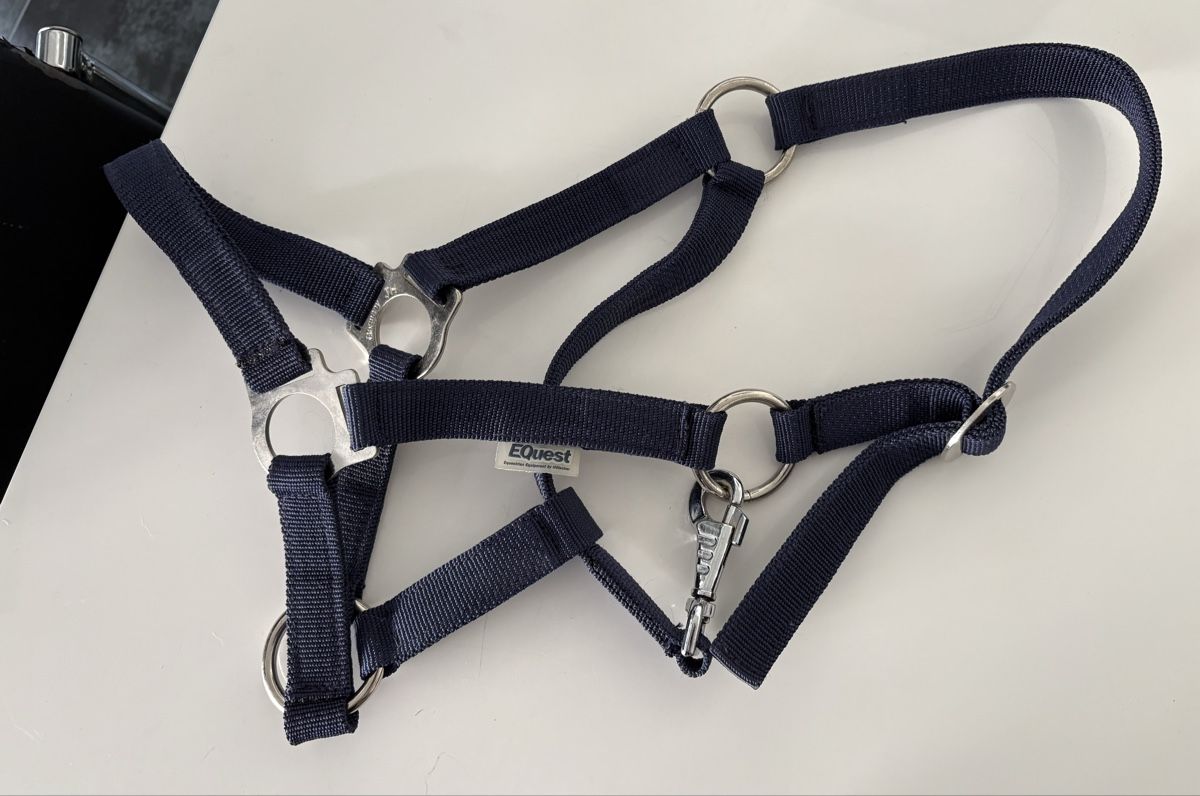 Briglie & Cavezze: Ponyhalfter – Usato da Emmenbrücke venduto da mar_8x9w 1