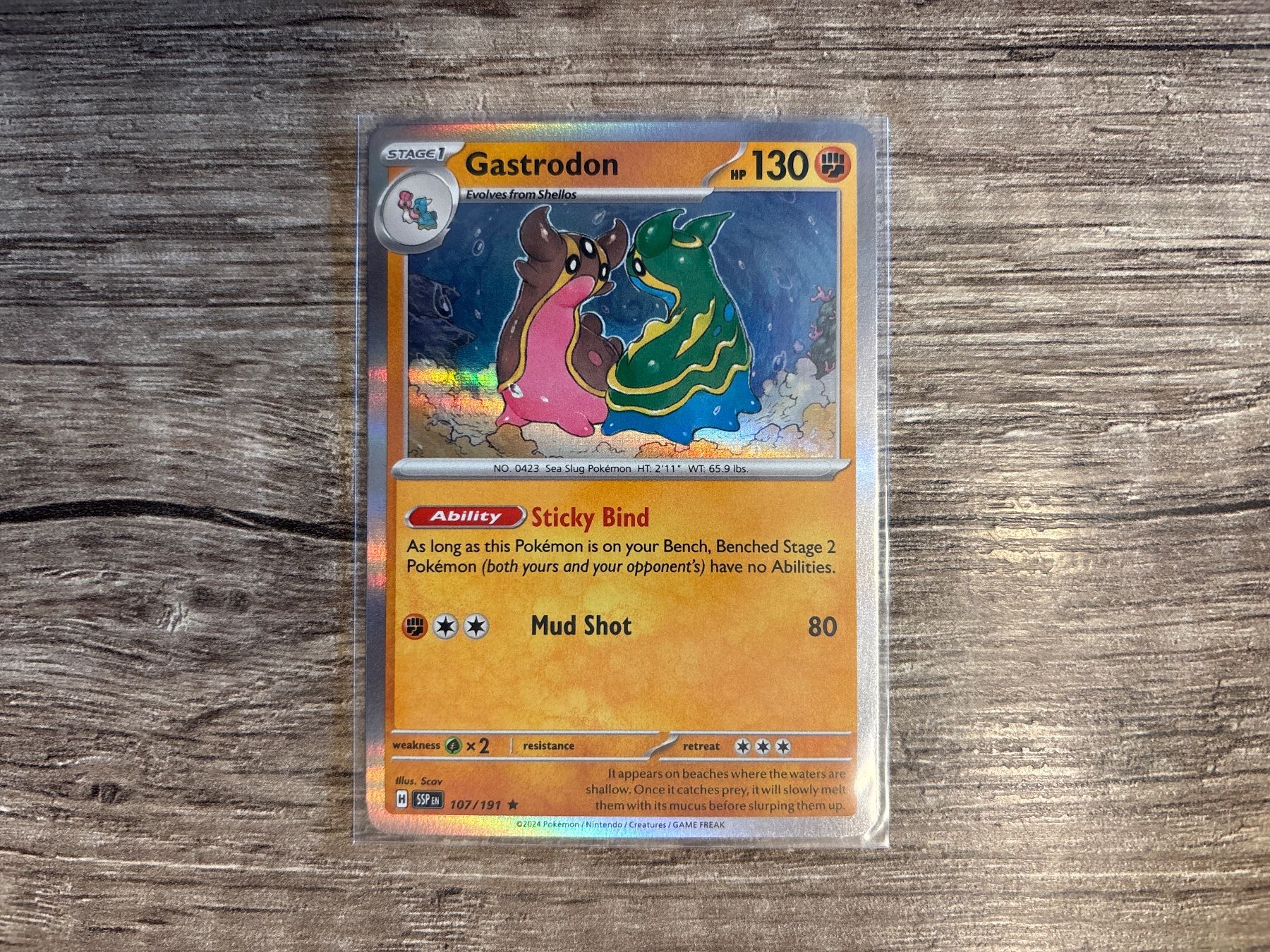 Pokémon Carte collezionabili: Gastrodon SSP EN NM – Nuovo (secondo la descrizione) da Frutigen venduto da swissTCGworld