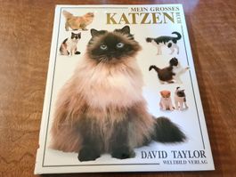 MEIN GROSSES KATZEN BUCH