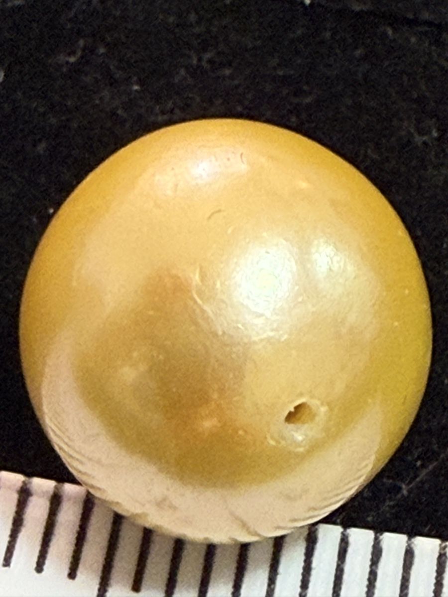 Perle (finte): Echt Südsee Perlen Goldener Farbe – Nuovo (secondo la descrizione) da Oberhof venduto da RealStone
