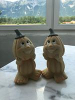 Deko Kürbisse