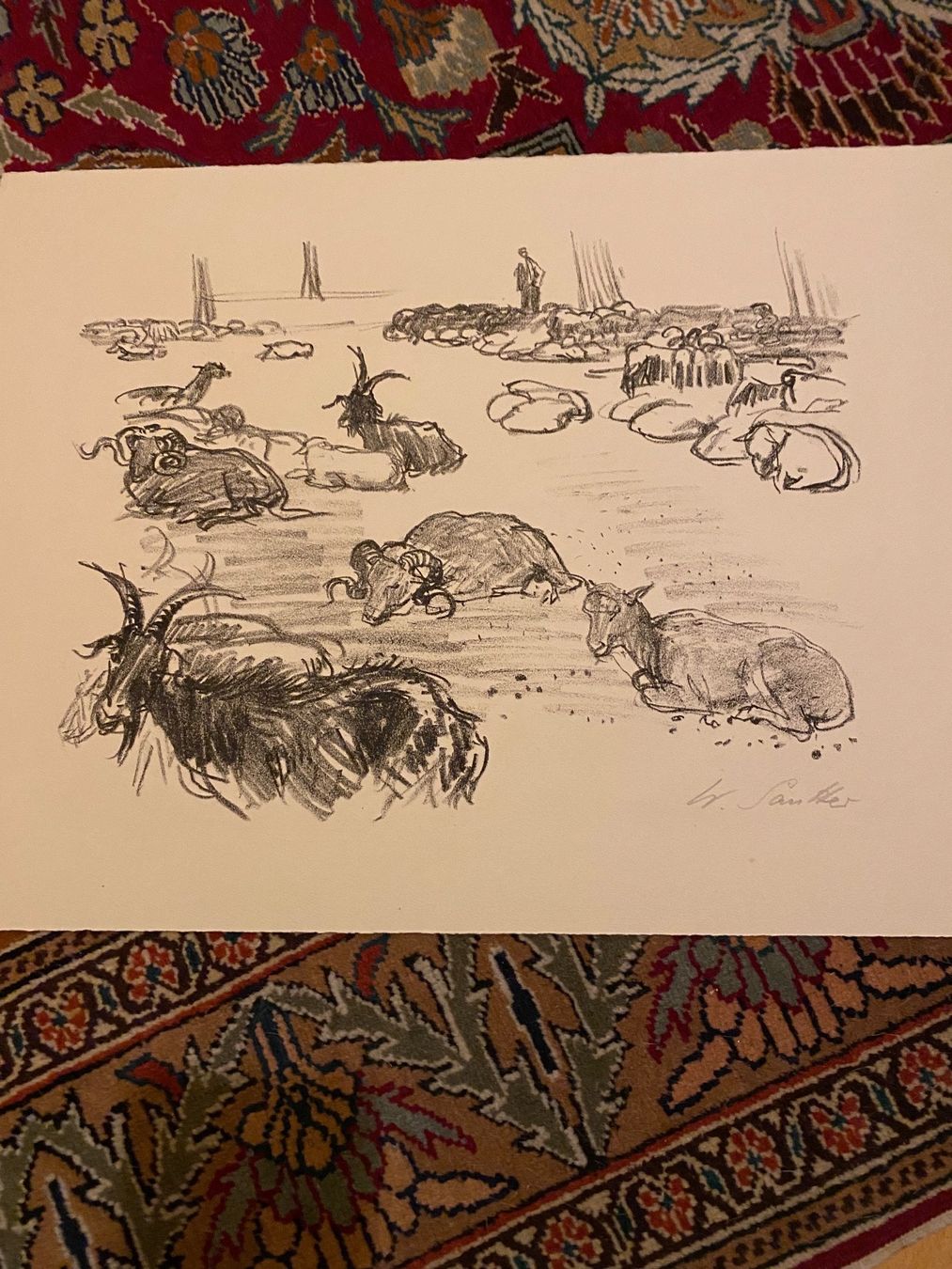Grafica & Litografie: Walter Sautter Lithographie – Usato da Münchwilen TG venduto da Mercurius63