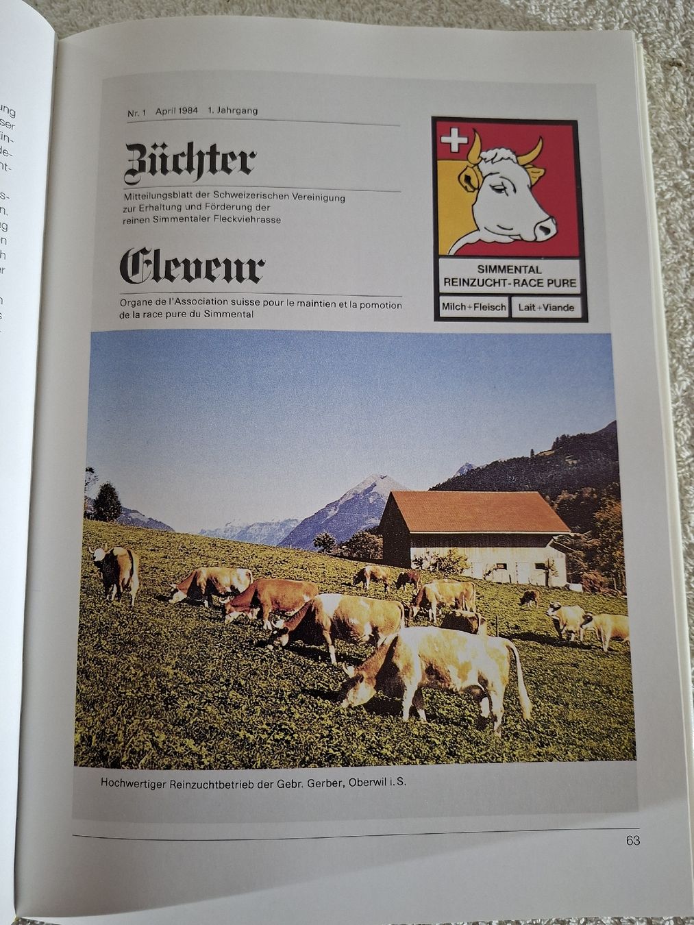 Cloches & sonnailles: Das Simmentaler Fleckvieh – D'occasion à Grindelwald par carro5 4