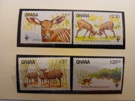 Série de 4 timbres du Ghana - Bongos - Très rare!