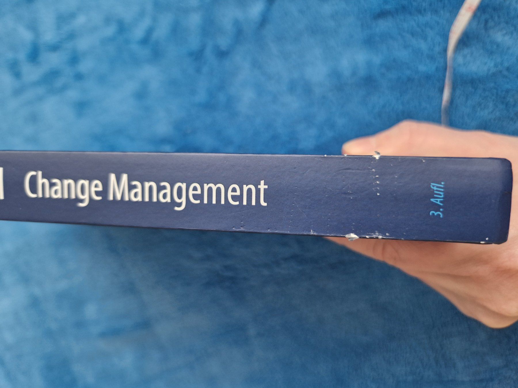 Libri: Change Management - Thomas Lauer – Usato da Erlinsbach SO venduto da ULIKH 6