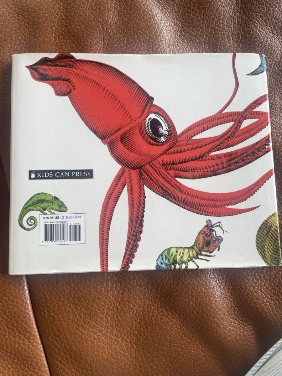 Bücher: Kinderbuch Englisch – Neu (gemäss Beschreibung) aus Freidorf TG von ibipatria 1