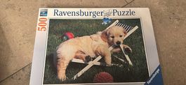 Puzzle 500