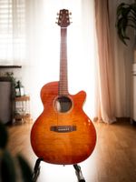 Takamine EG444C-VV Westerngitarre – guter Zustand