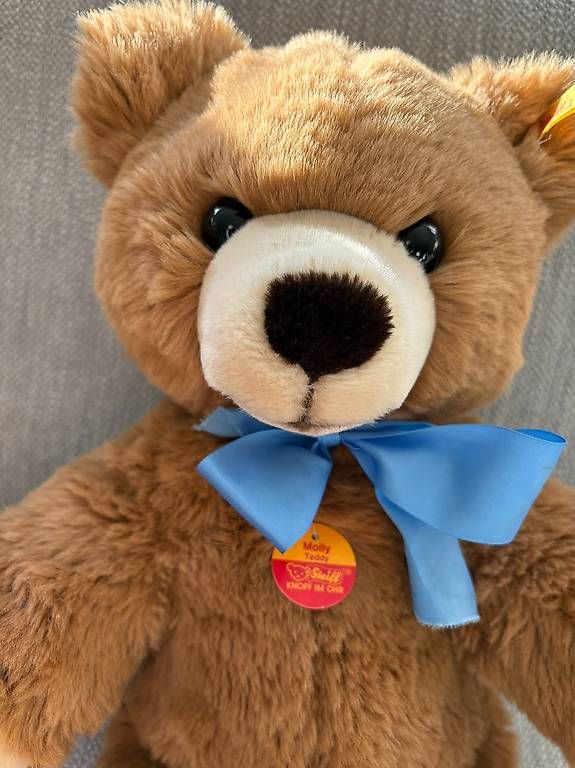 Steiff Giocattoli: STEIFF Teddy Bär Molly 50cm NEU – Nuovo (secondo la descrizione) da Egg b. Zürich venduto da eve_h8pg