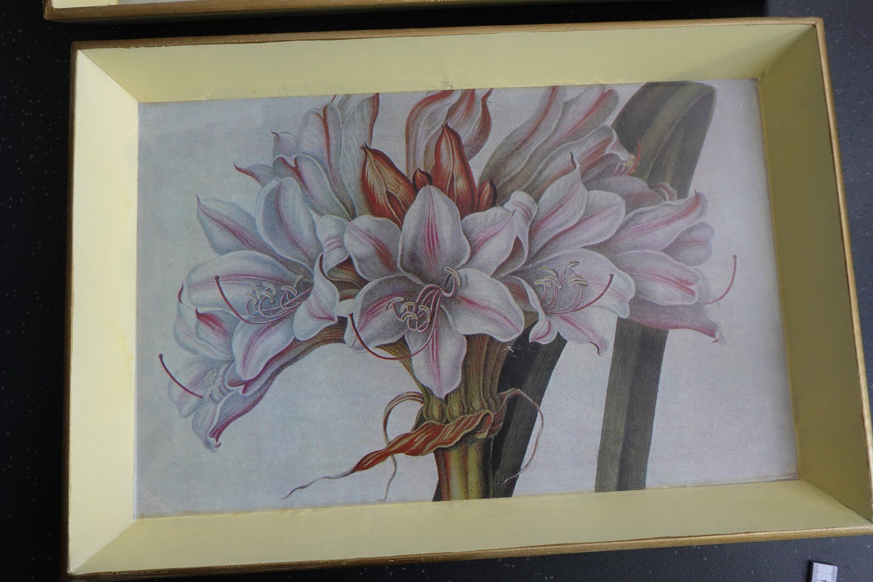 Servierplatten: 2x Tablett Serviertablett mit Blume Amaryllis NEU – Neu (gemäss Beschreibung) aus Jona von simongarden 4