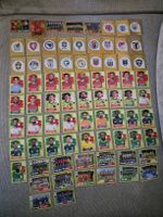 Panini WM Stickers