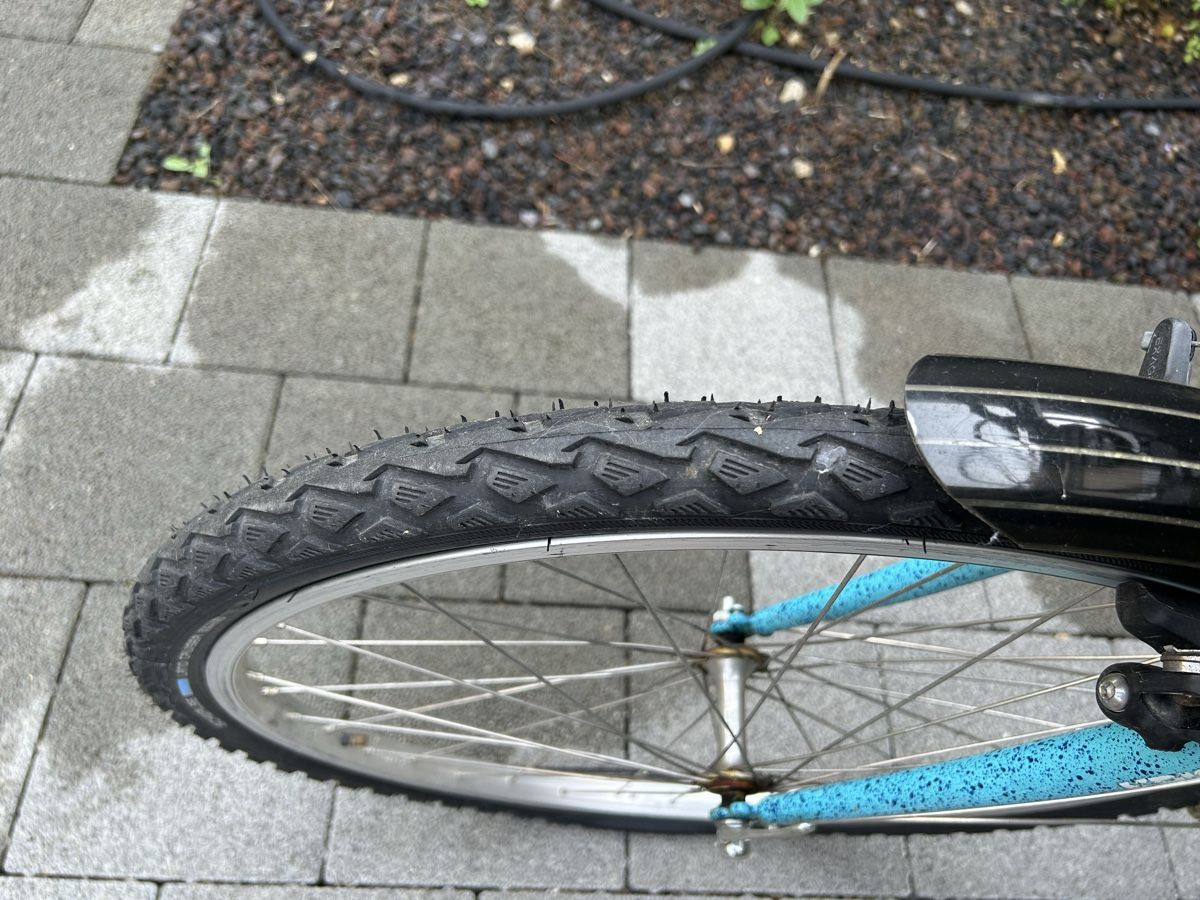 Biciclette: Damen Velo/Grosse Kinder – Usato da Birmenstorf AG venduto da Reninata 3