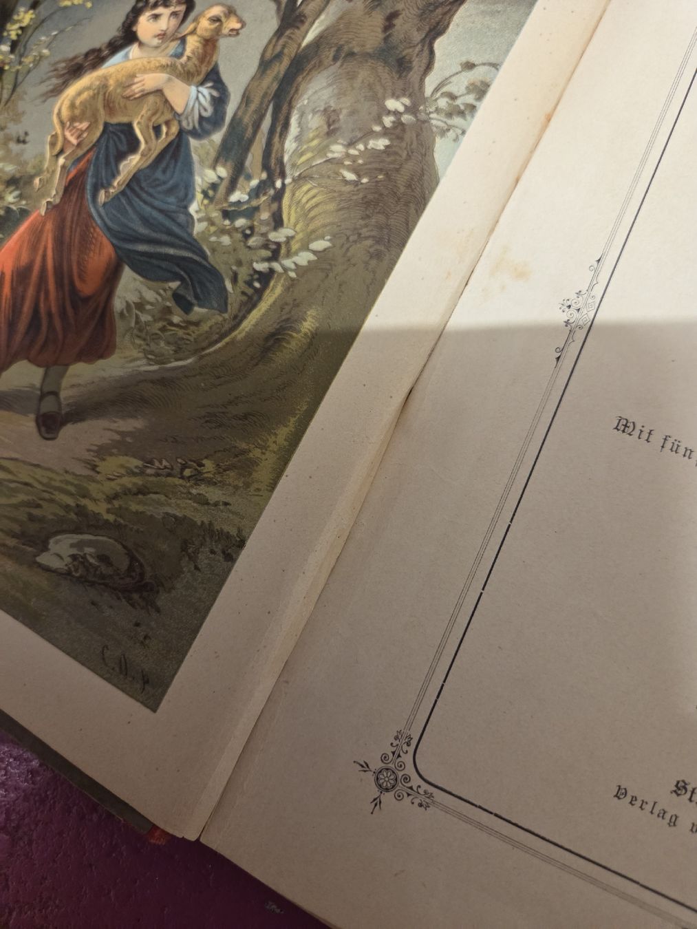 Libri: Antike Kinderbuch: Rosa von Tannenberg  – Usato da Subingen venduto da DENDLE20 4
