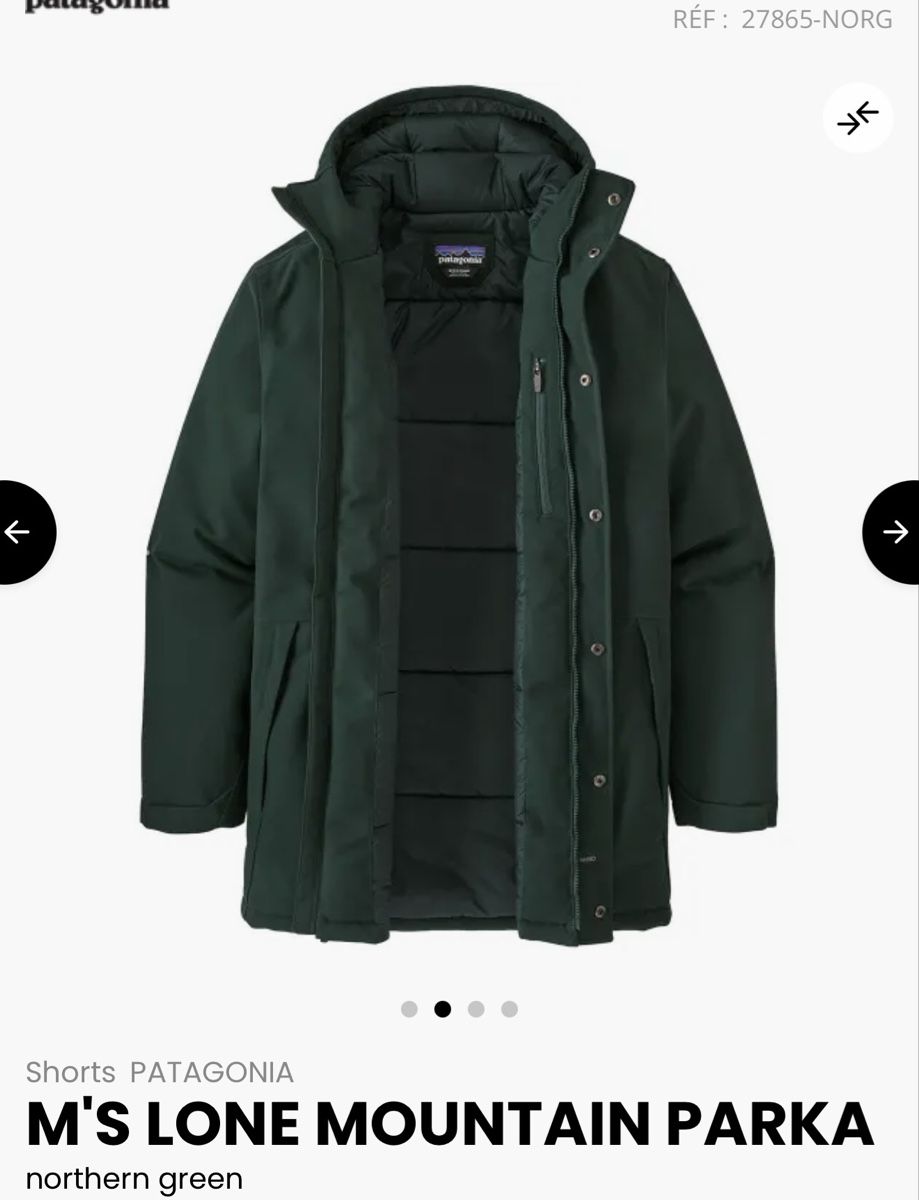 Patagonia Giacche: Patagonia Winterjacke Gr. M – Usato da Bern venduto da Mr.LR 2