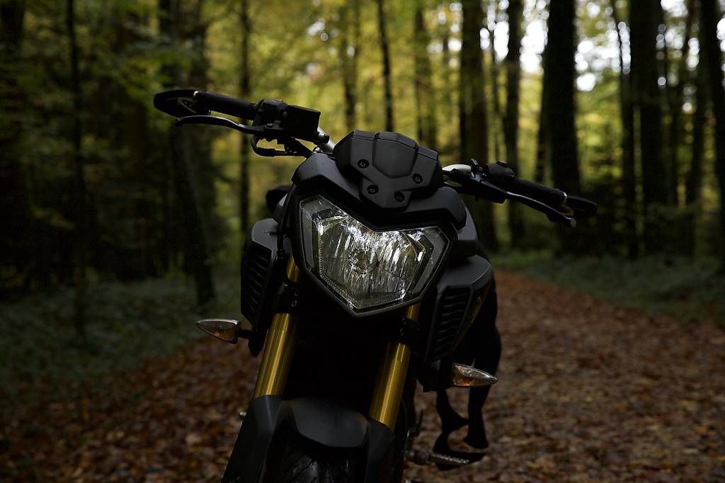 Route: Yamaha Mt-125 ABS – D'occasion à Rodersdorf par eil_5d7n 2