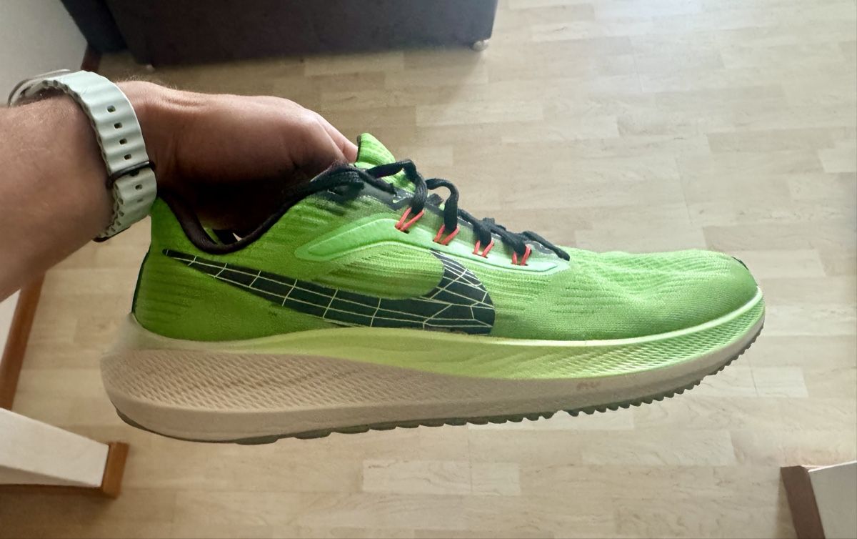 Nike Scarpe da uomo: Nike Pegasus 43 grosse – Usato da Schaffhausen venduto da Katya_R 1