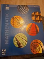 Mathematik Lösungen LMZ Primarstufe 5