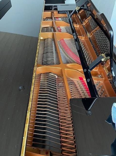 Musikinstrumente: Piano à queue Yamaha C3 - 186 cm – Gebraucht aus Delémont von fdg_jx7h 1