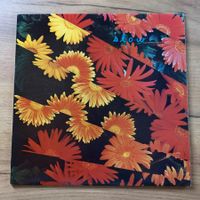 THE SNEETCHES – SLOW...OG US 1990...VG+/EX