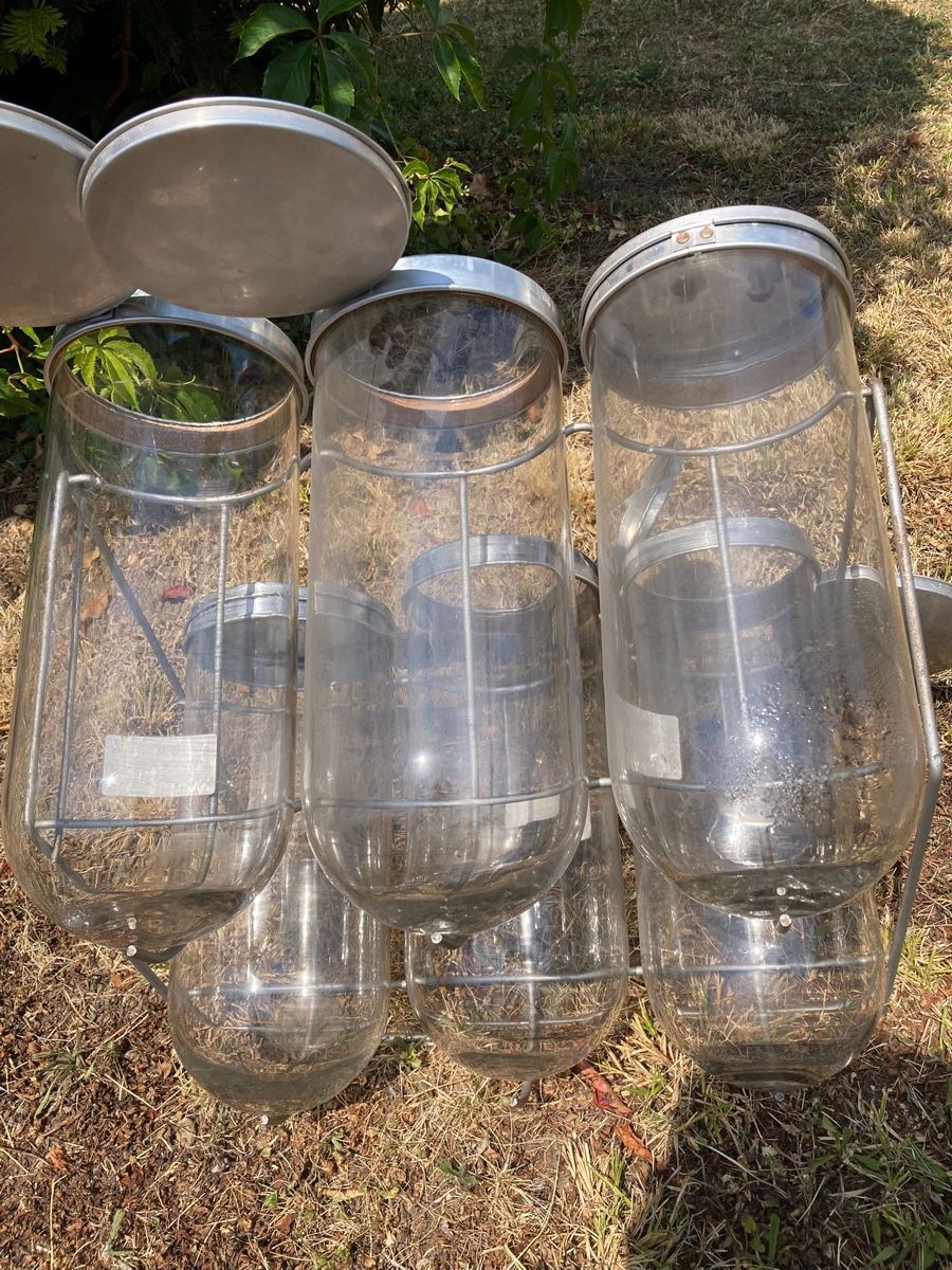 Verres: Glas Behälter Set Vintage mit Metallringen und Deckel – D'occasion à Basel par gig_ww6x 2