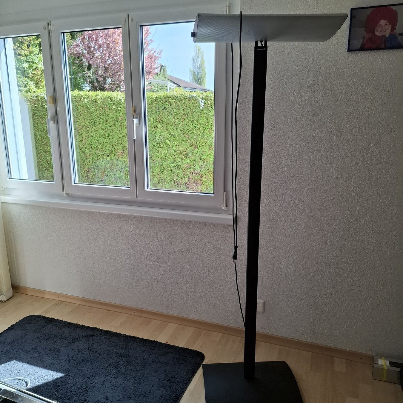 Lampade: Dimmbare Designer Lampe Waldmann – Usato da Halten venduto da riveryard 1