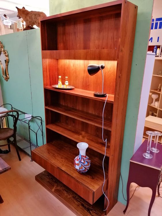 Dänisches Bücherregal mit Beleuchtung 1