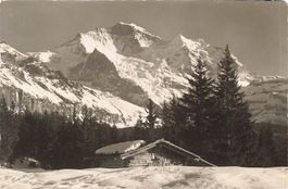 Wengen (BE) – Die Jungfrau mit Alphütte