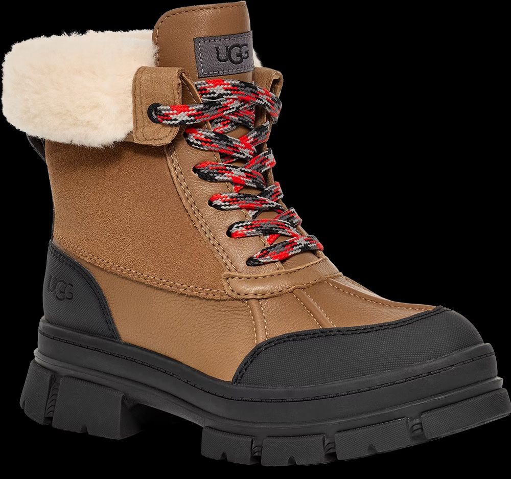 Ugg Scarpe da donna: Ugg Winterstiefel Boots 40, 41 oder 42  habe Sorel – Nuovo e nell'imballaggio originale da Riniken venduto da Babeli78