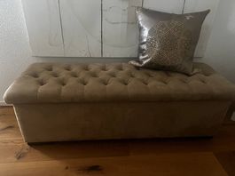 Beige Truhenbank/Sitzbank mit Stauraum, neuwertig!