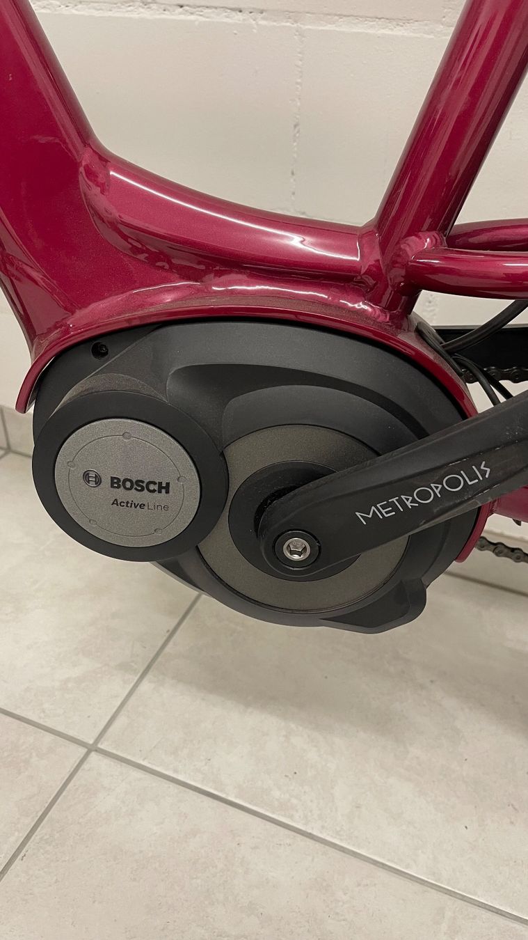 Cresta Velos: Elektrofahrrad – Gebraucht aus Davos Platz von holod 7