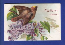 OISEAU - Fleurs - Carte gauffrée