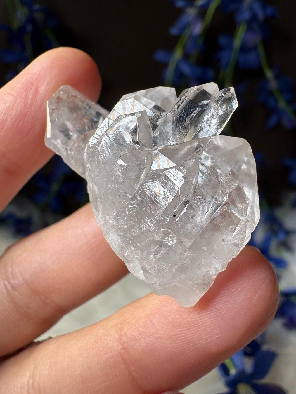 Minerali & Pietre curative: Lemurian-Quarz-Cluster – Nuovo (secondo la descrizione) da Neuheim venduto da m.hald