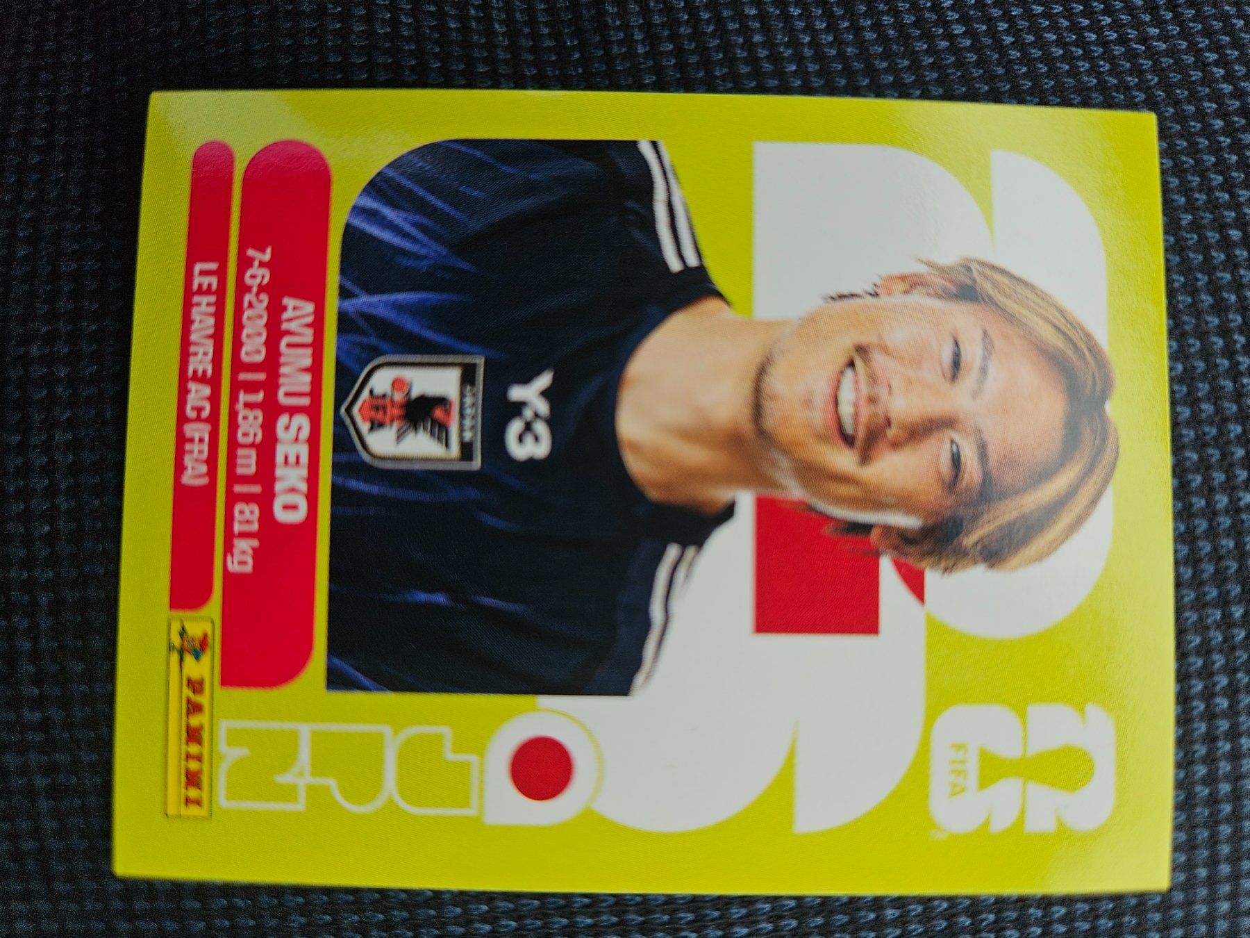 Panini Carte collezionabili: JPN 4 – Usato da Würenlingen venduto da Dinli