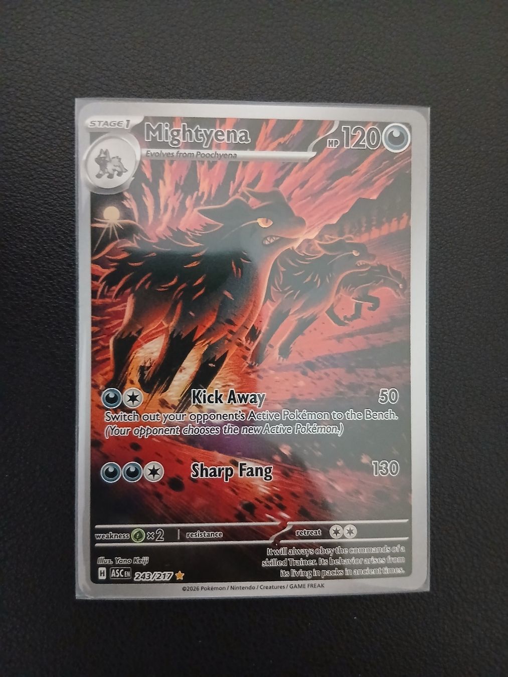 Pokémon Carte collezionabili: Ascended Heroes Mightyena Pokémon EN – Nuovo (secondo la descrizione) da Regensdorf venduto da Baba_Basar 2