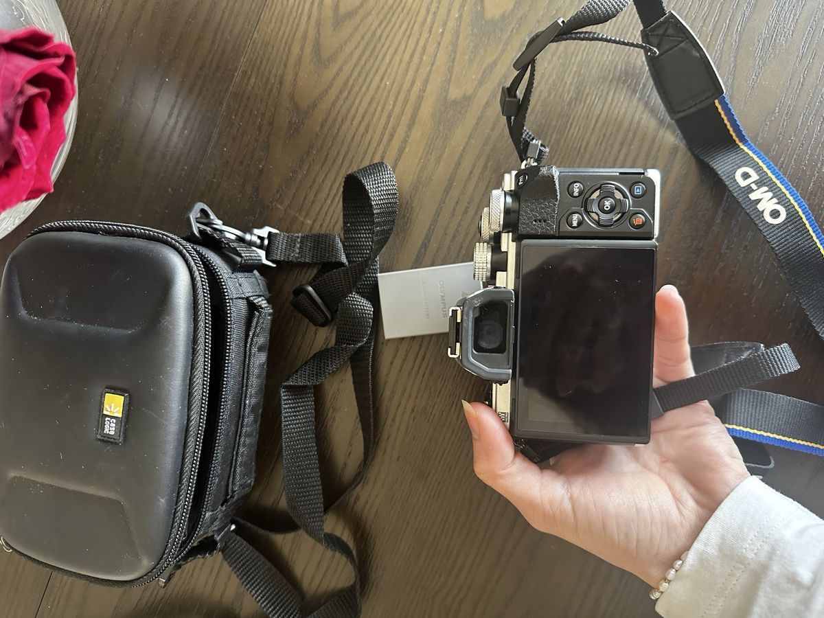 Olympus Fotocamera: Olympus OM-D E-M10 Marke 2 – Nuovo (secondo la descrizione) da Rorschach venduto da van_59zv 2