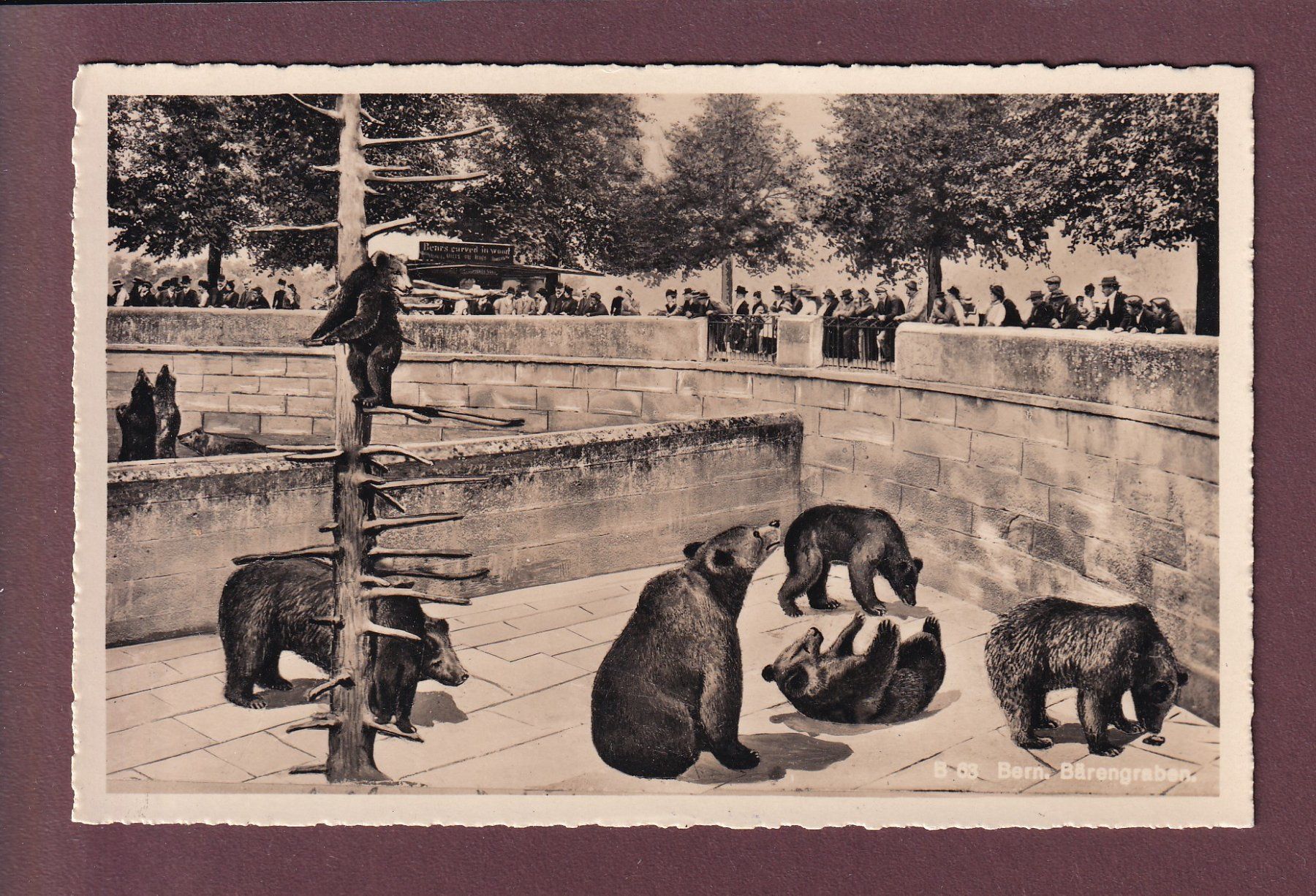 Cartoline postali: BERN - Bärengraben - Montage – Usato da Pully venduto da nicecards