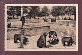 BERN - Bärengraben - Montage