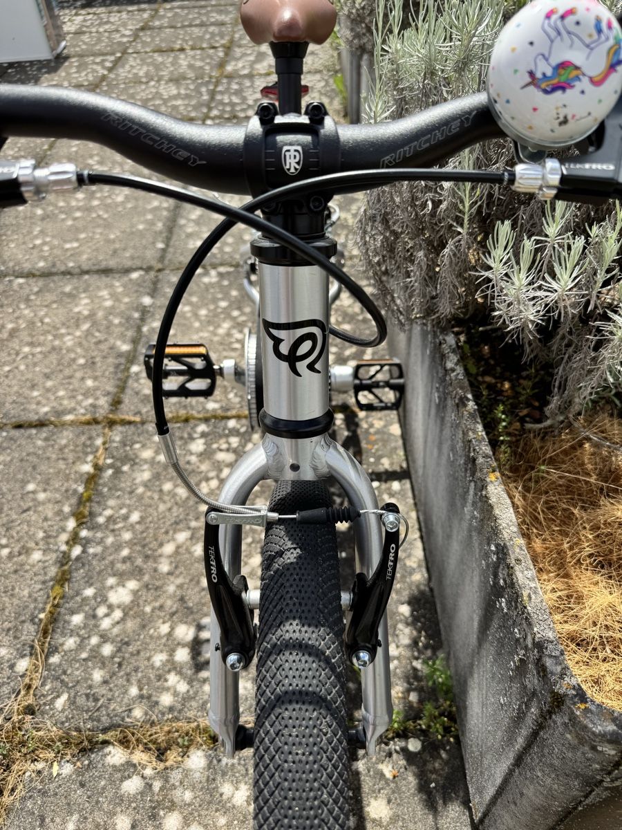 Early Rider Biciclette: Early Rider Belter 16 – Usato da Schlieren venduto da BIBOSA 1