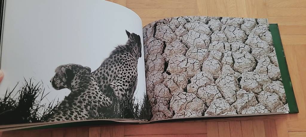 Libri: Verehrte Tiere – Usato da Würenlos venduto da bat_y8kw 1
