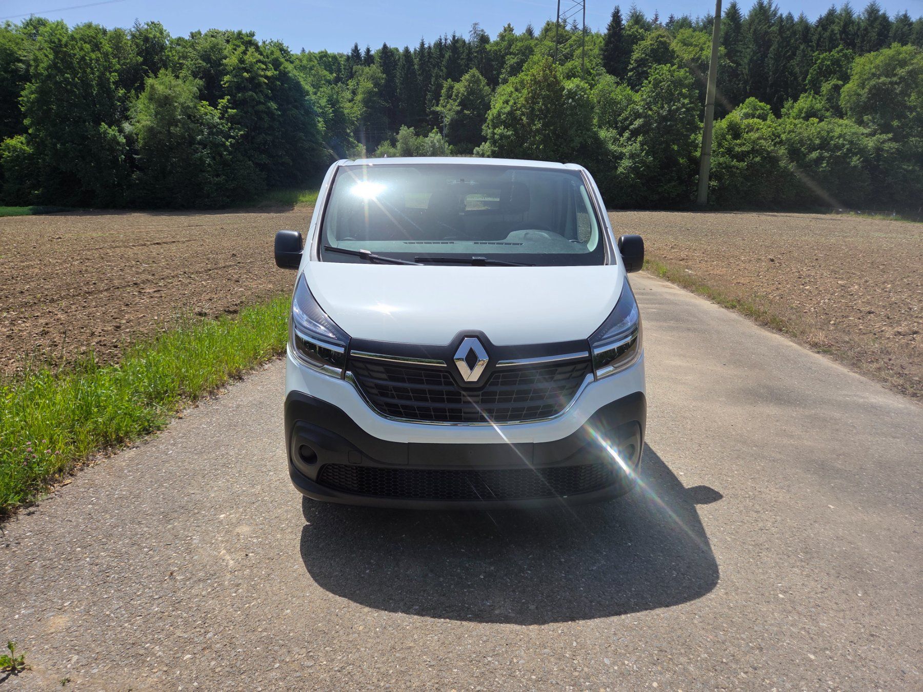 Renault Veicoli commerciali: Renault Trafic 2.0 dCi 120 – Usato da Fischbach-Göslikon venduto da Emanuel.Bardhi