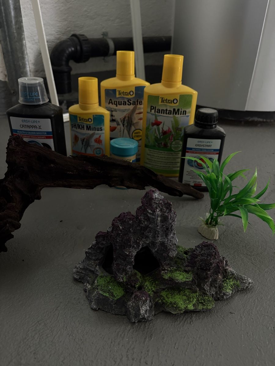 Acquari: Aquarium mit Zubehör – Usato da Ersigen venduto da mob_pc6d 2