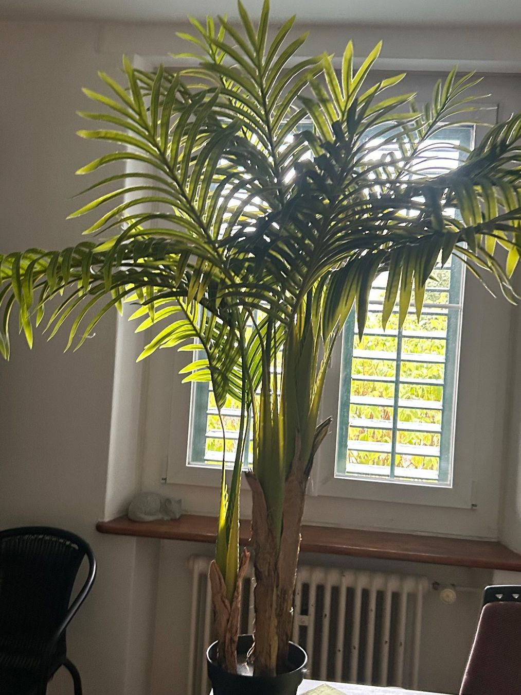 Toutes les décorations: Palme Kunstpflanze – Neuf (Voir description) à Schaffhausen par amwr 7