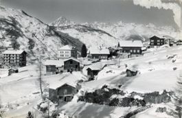 Grächen  VS  mit Bietsch-, Nest- & Aletschhorn    um 1 9 6 4