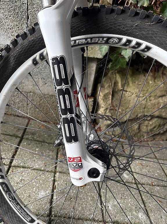 Biciclette: Downhill Bike grösse L – Usato da Solothurn venduto da wys_6smq 1