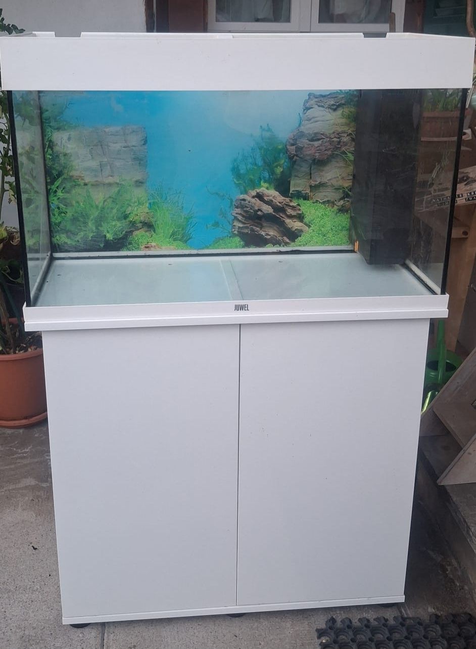 Acquari: Juwel Aquarium 125 Liter – Usato da Trimstein venduto da Simu2699