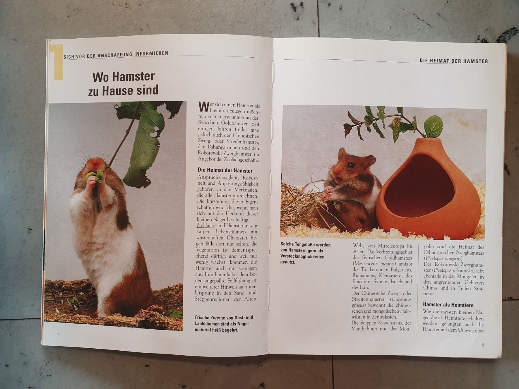 Bücher: Der Hamster – Gebraucht aus Moosseedorf von Sonnenschein.. 4