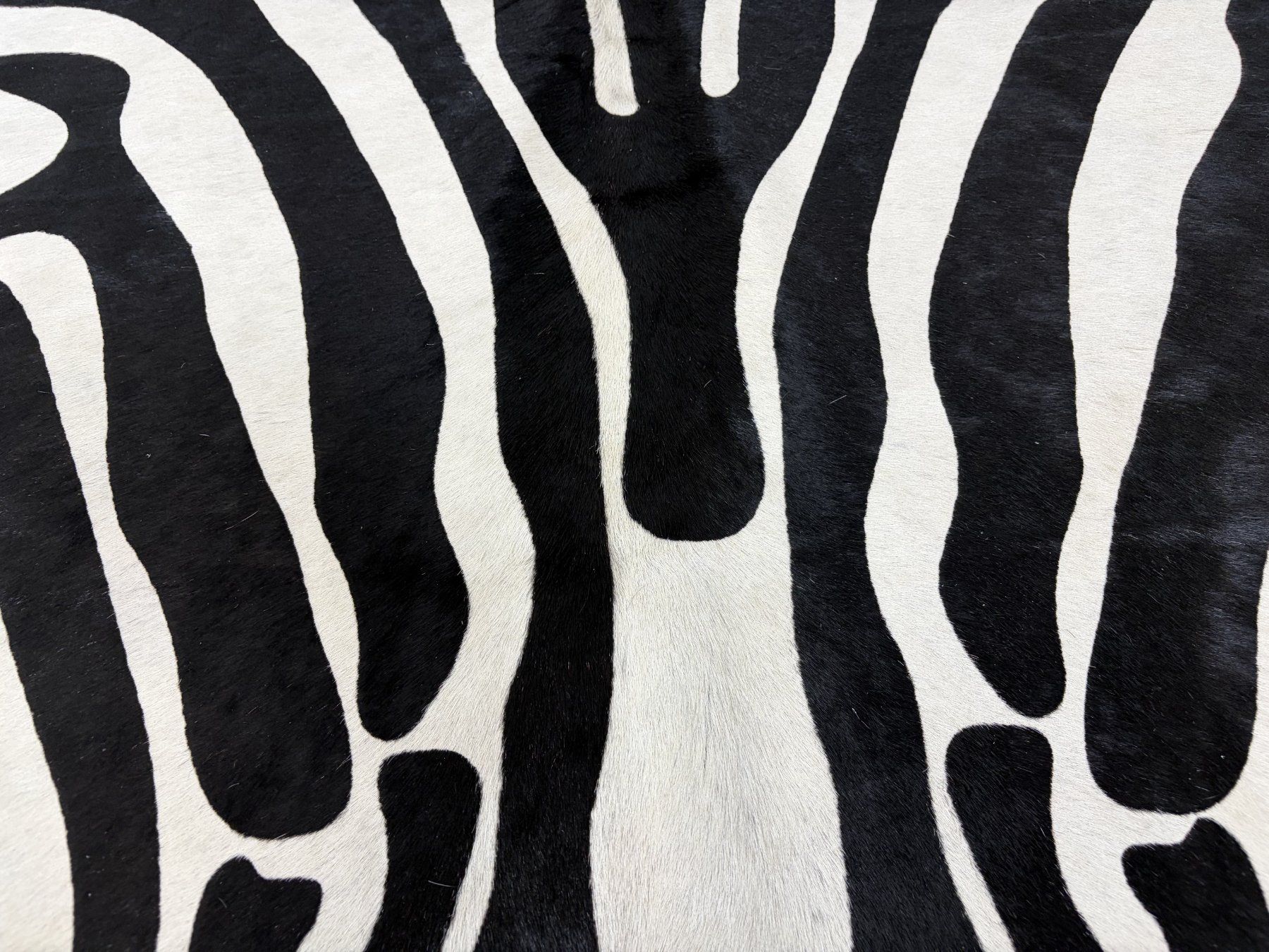 Tappeti: echtes Kuhfell Teppich Zebra – Nuovo e nell'imballaggio originale da Arbedo venduto da patagonialeatherrugs 3